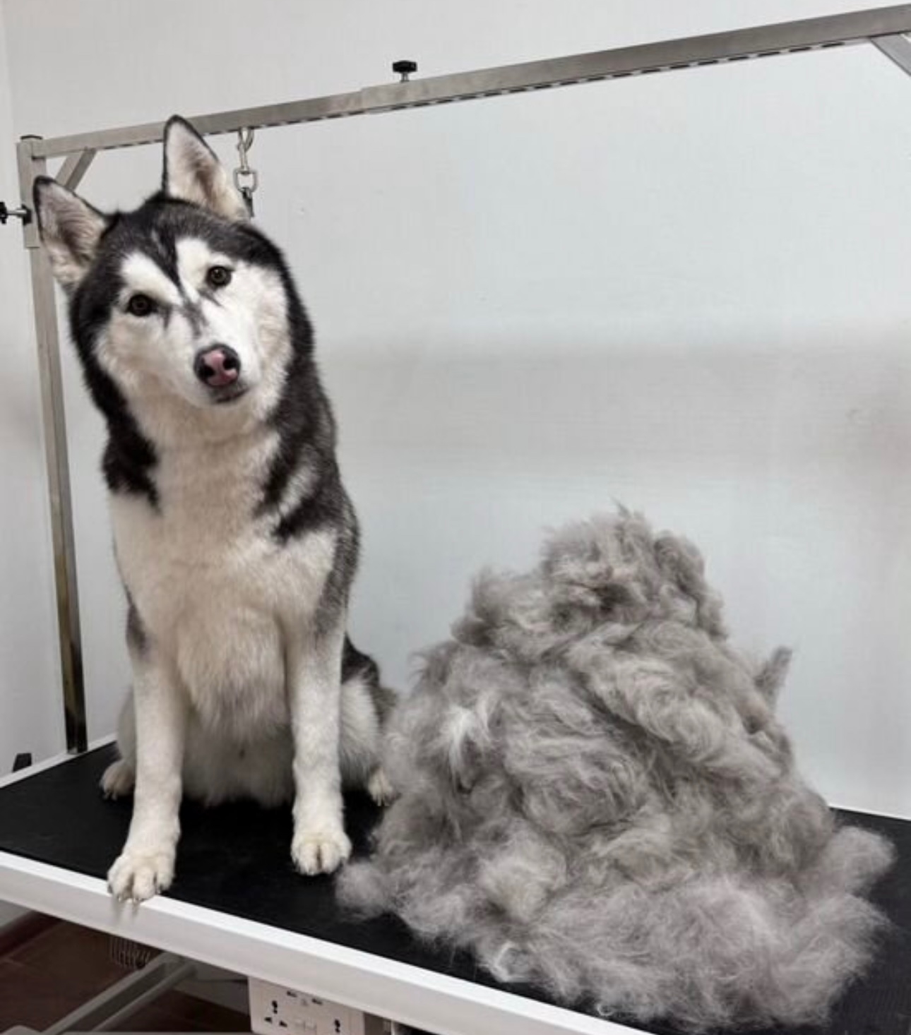 Работа ЛапГрум #2