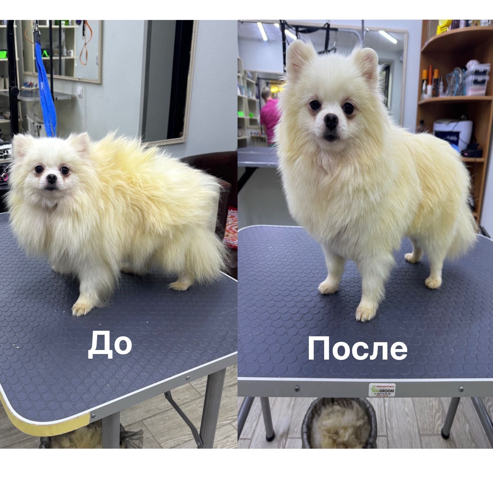 Работа ЛапГрум #25