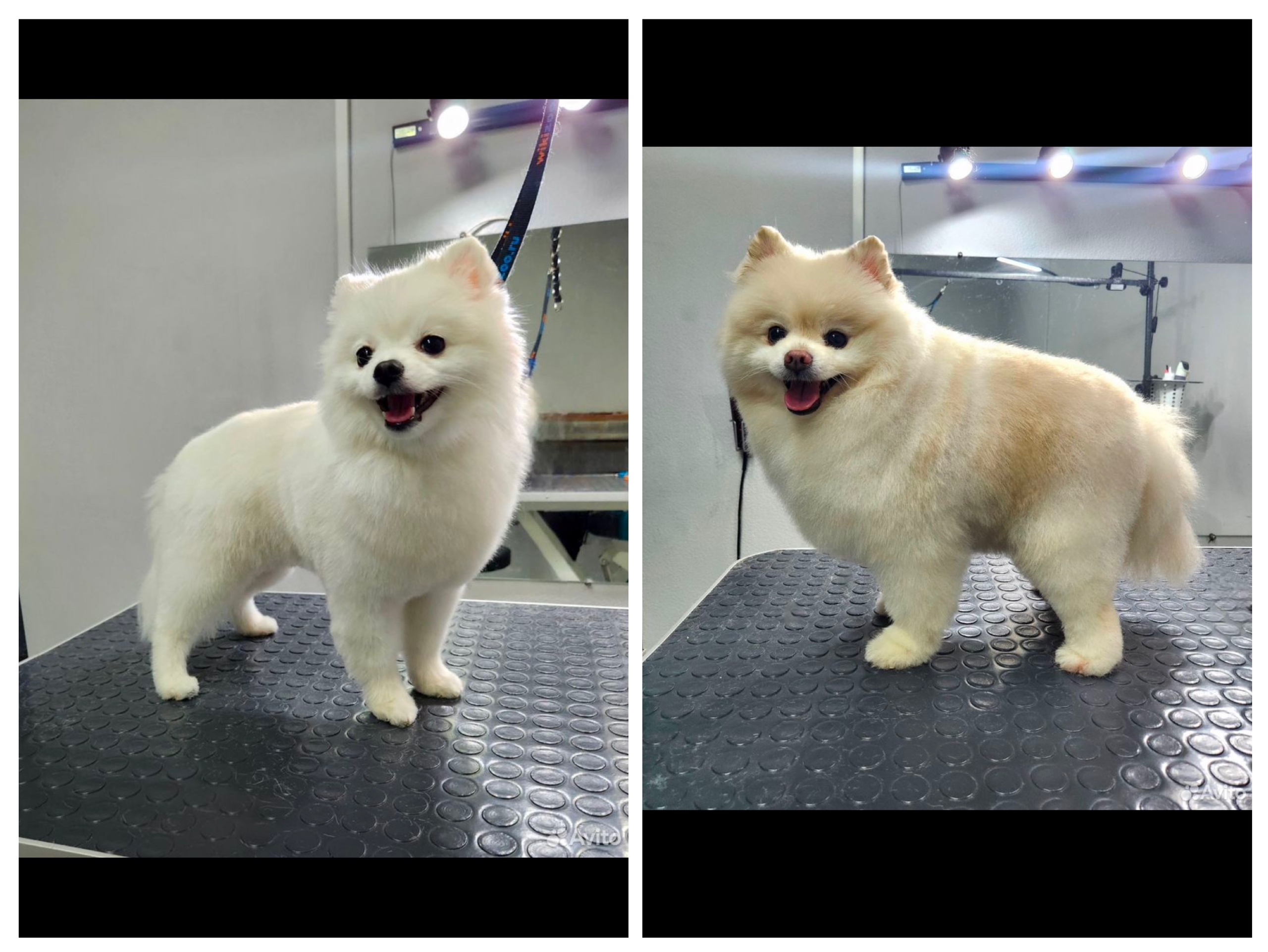 Работа ЛапГрум #4