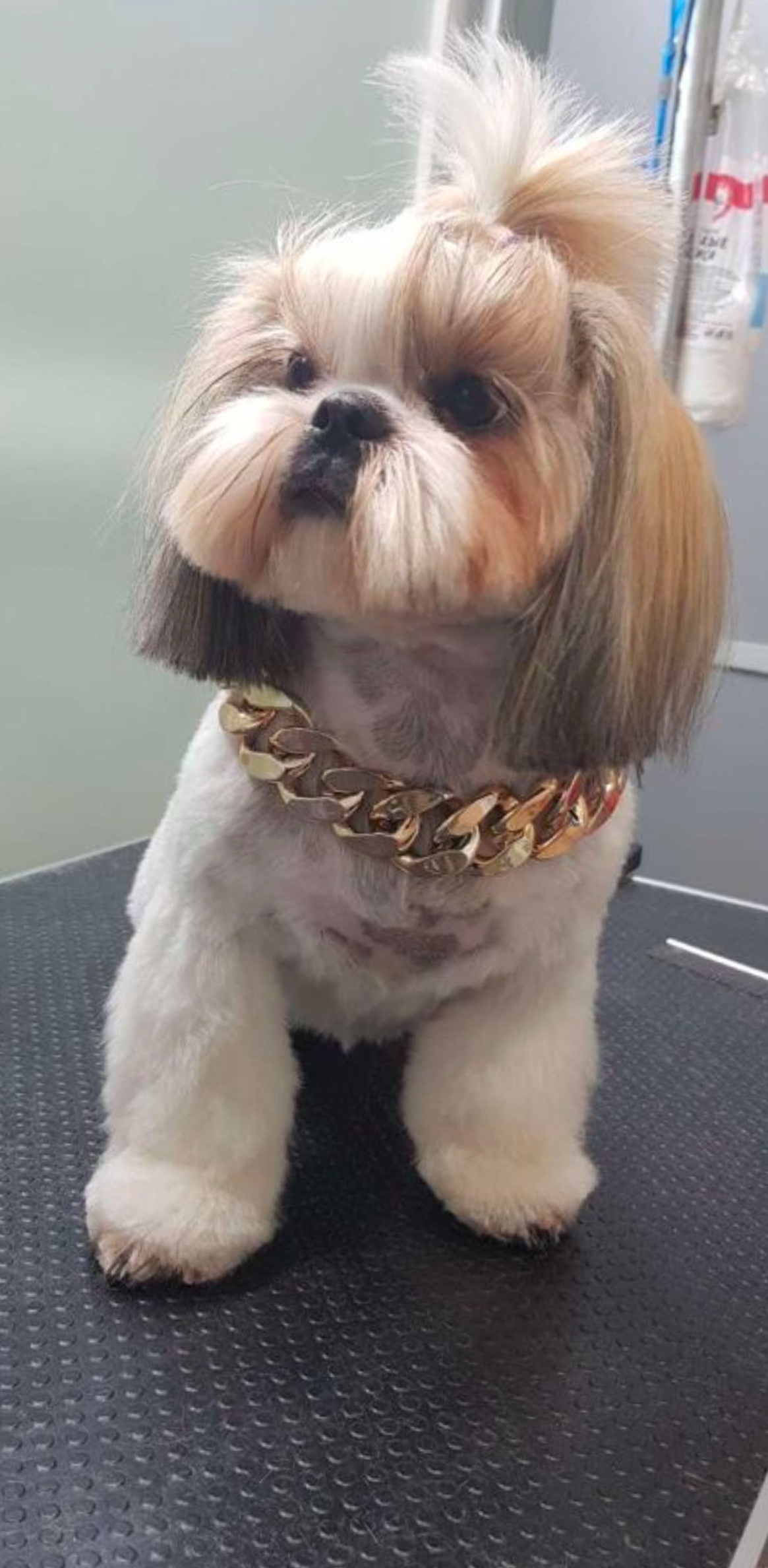 Работа ЛапГрум #14